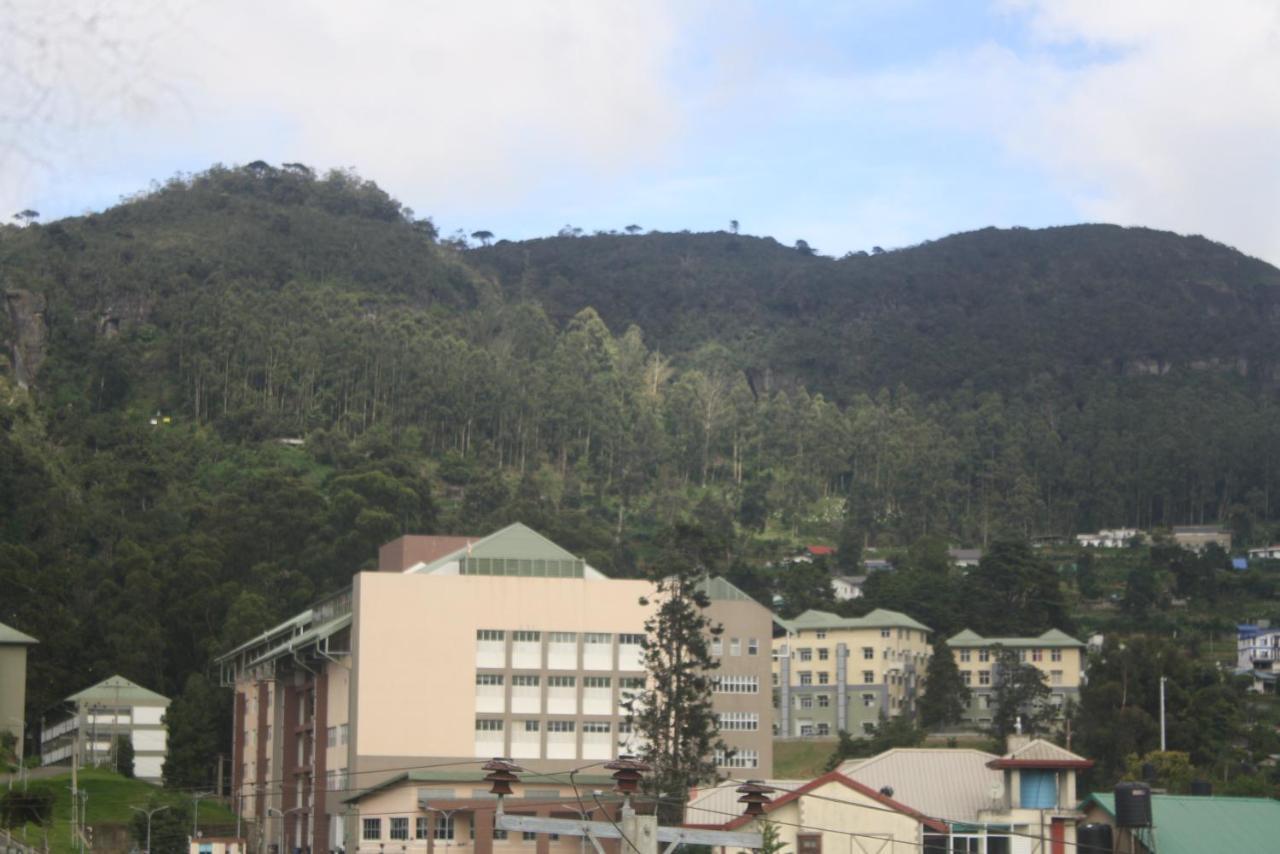 Dream Hill Homestay ヌワラ・エリヤ エクステリア 写真