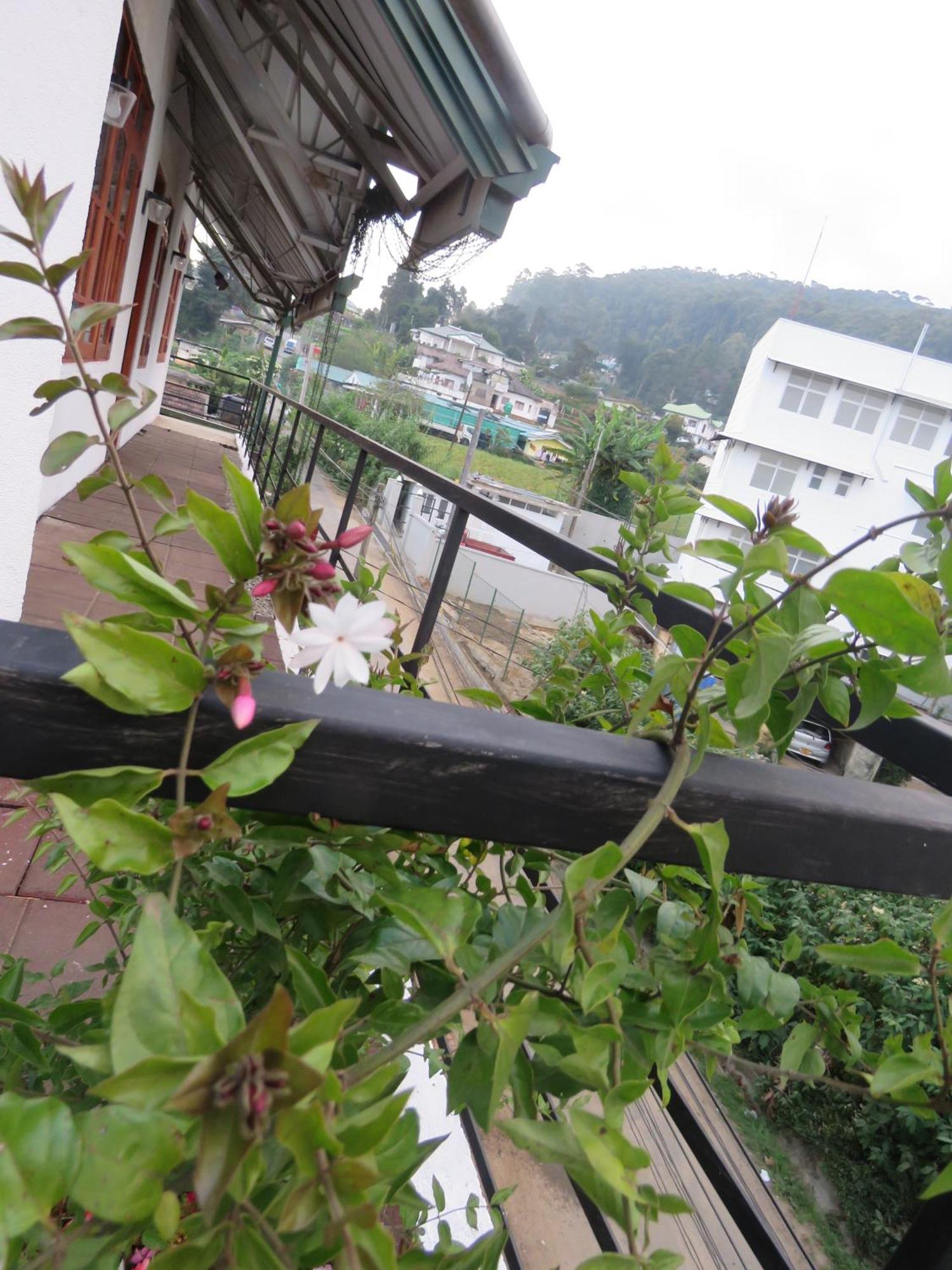 Dream Hill Homestay ヌワラ・エリヤ エクステリア 写真